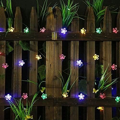 LED 4 Meter Blossom Flower Fairy String Lights, Christmas Lights for Diwali Home Decoration - PURE