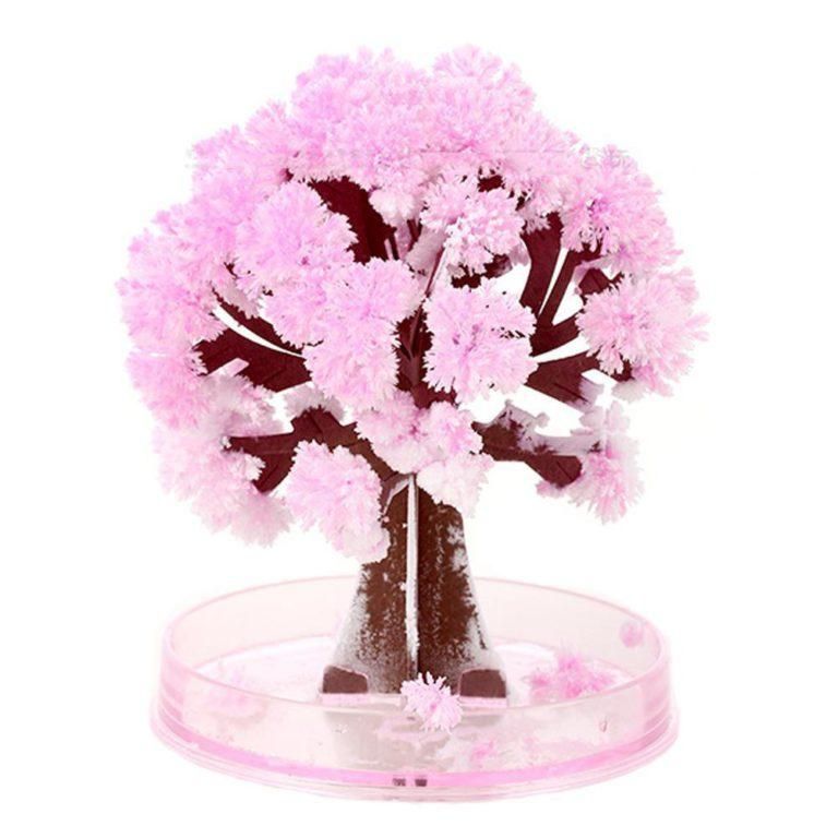 Magic Cherry Blossom Tree - PURE