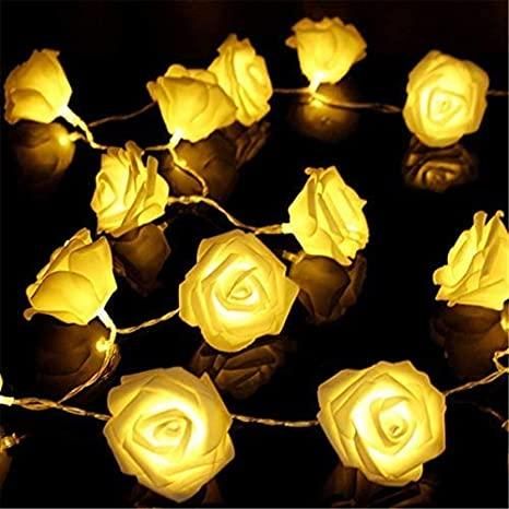 Rose Flower Led Serial String Lights - |10 Feet 14 Led Rose Lights for Home Decoration Indoor Outdoor(Warm White Plug-in) - PURE