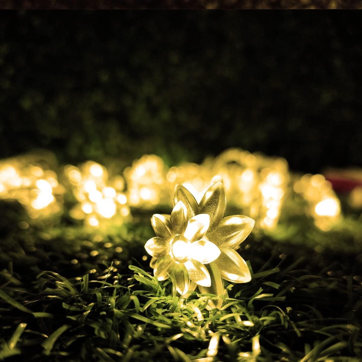 14 LED Lotus Flower Warm White Decorative String Light - PURE